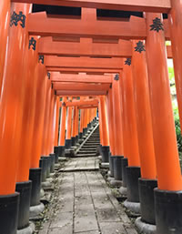 京都 伏見稲荷千本鳥居