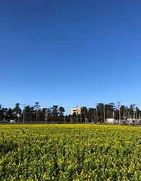 糸島　福ふくのさと